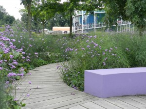 Massed Verbena bonariensis as color echo of purple bench at Floriade 2012