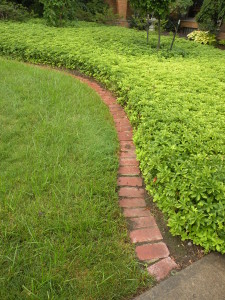 Lawn with brick edge over which lawnmower wheels can run.