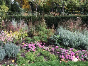 South perennial garden: Gomphrena pink, Lavandula, Talinum 'Limon', Perovskia',Sedum sieboldii, Campanula carpatica white, Lavandula 'Provence', Gaura tall white