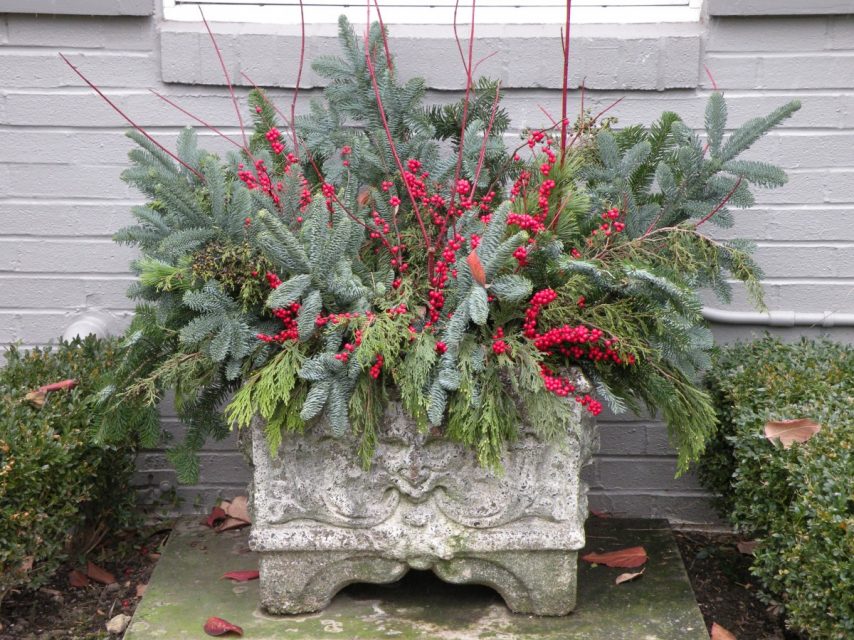 Filling Winter Containers | Bobbie's Green Thumb